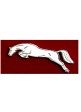 Broche
