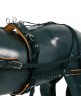 Enganche Collarón Cuero-Nylon