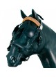 Enganche Collarón Cuero-Nylon