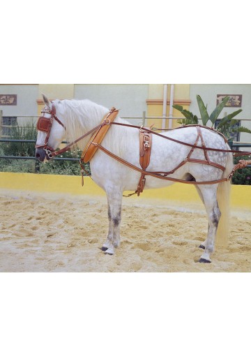Enganche Ingles 1 Caballo Cuero Premium