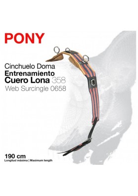 Cinchuelo Doma Entrenamiento Cuero-Lona Pony