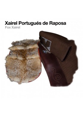 Xairel Portugués De Raposa