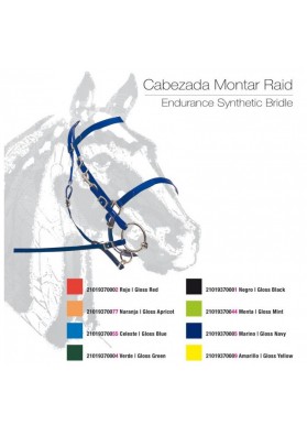 Cabezada Montar Raid