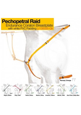 Pechopetral Raid LR130035