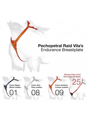 Pechopetral Raid Vila's