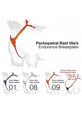 Pechopetral Raid Vila's