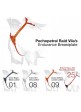 Pechopetral Raid Vila's