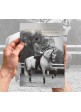 LIBRO: TECNICA Y SENTIMIENTO DEL ARTE ECUESTRE