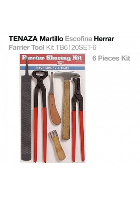 Tenaza Martillo Escofina Herrar Conjunto 6 piezas