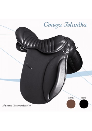 Silla Modelo Islandia Omega Puentes Intercambiables