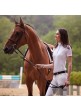 Polo Concurso Ariat Aptos Vent Manga Corta Niña