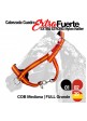 Cabezada De Cuadra Extra Fuerte