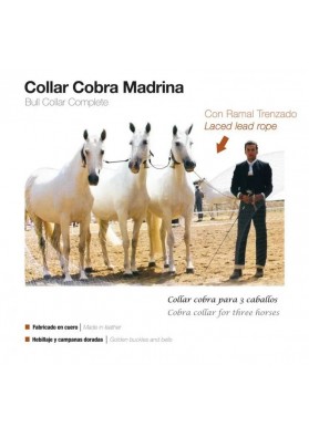 Collar Cobra Madrina Con Ramal Trenzado