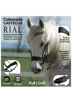 Cabezada Castecus Rial Sencilla COB Negro