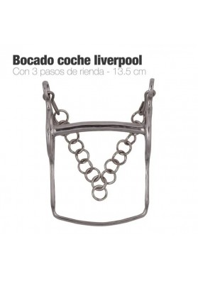 BOCADO COCHE LIVERPOOL 3-SLOTS