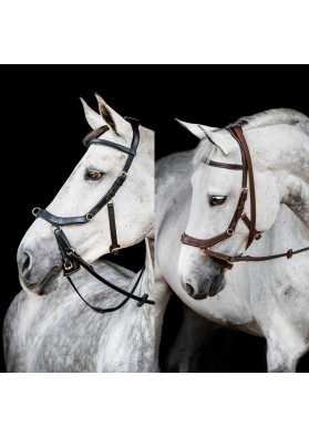 CABEZADA INGLESA HORSEWARE MICKLEM 2 MULTIBRIDLE (SIN RIENDAS)