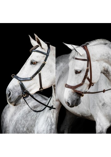 CABEZADA INGLESA HORSEWARE MICKLEM 2 MULTIBRIDLE (SIN RIENDAS)