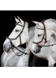 CABEZADA INGLESA HORSEWARE MICKLEM 2 MULTIBRIDLE (SIN RIENDAS)