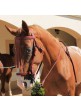 CABEZADA MARJOMAN MODELO JEREZANA CON RIENDAS COSIDA A MAQUINA Y HEBILLAS DE FORJA
