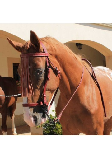 CABEZADA MARJOMAN MODELO JEREZANA CON RIENDAS COSIDA A MAQUINA Y HEBILLAS DE FORJA