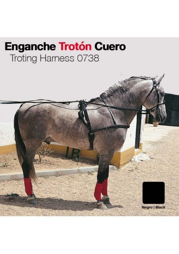 ENGANCHE TROTÓN CUERO NEGRO
