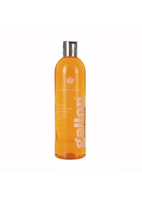CARR & DAY CHAMPÚ CABALLOS CLAROS 500ml