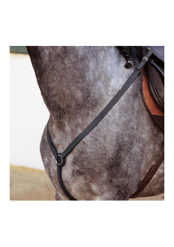 Pechopetral Marjoman inglés de Y hebilla inox