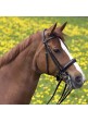 Cabezada Kieffer Ergonomic Iipull Back Noseband 2 Riendas