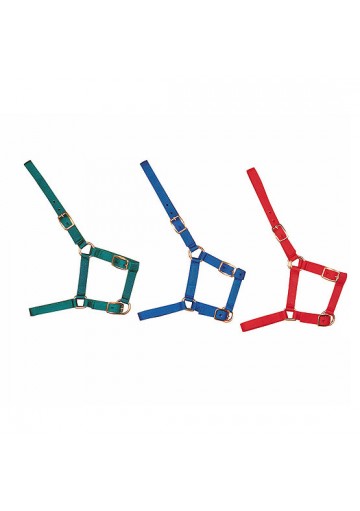 Cabezada Nylon Tamaño Potro 2 Hebillas Y Mosqueton