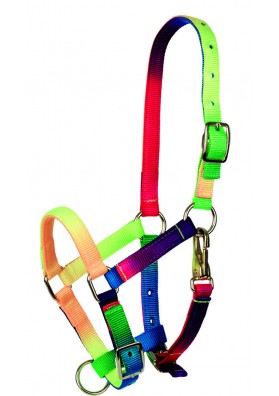 Multicolour Pony Halter