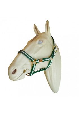 Cabezada Marjoman Canutillo Percheron