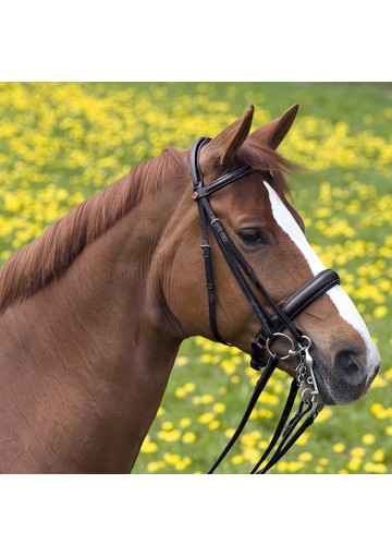 Cabezada Kieffer Ergonomic Iipull Back Noseband 2 Riendas