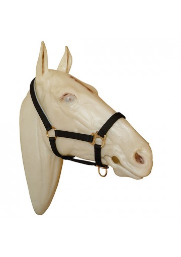 Cabezada Marjoman Nylon Closed Mouth