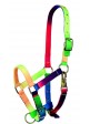 Cabezada Multicolor Tattini Para Potro