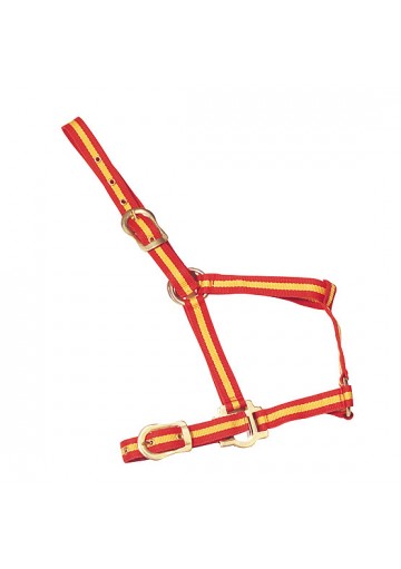 Cabezada Nylon Economica