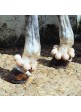 Juego Bolas Correa Elevacion