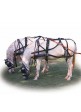 Enganche Modelo Marathon Para Dos Caballos ( Hebillaje Inox)