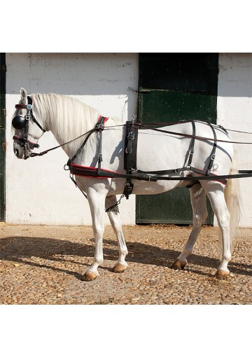 Enganche Biotane Para Un Caballo