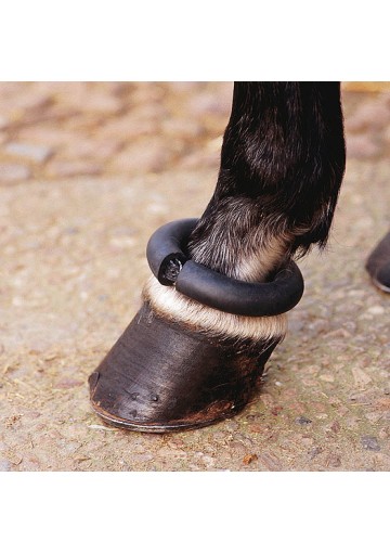 Protector Donus Equus England Para Menudillo De Establo (Incluido Correa)(Unidad)