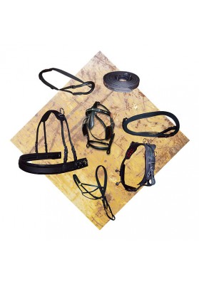 Enganche Con Pechopetral 2 Caballos Nylon Y Cuero