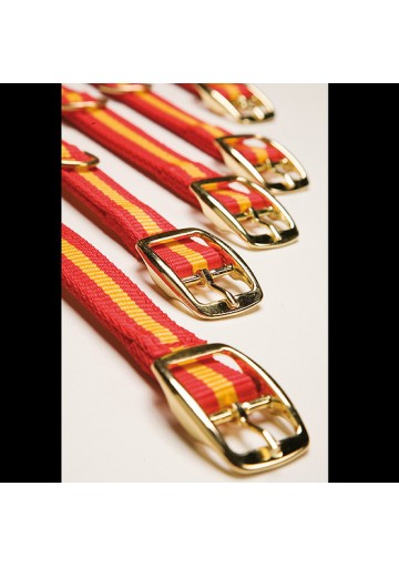 Collar Nylon Perro