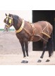 Enganche Con Colleron Extra Para Dos Caballos