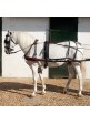 Enganche Biotane Para Un Caballo