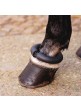 Protector Donus Equus England Para Menudillo De Establo (Incluido Correa)(Unidad)