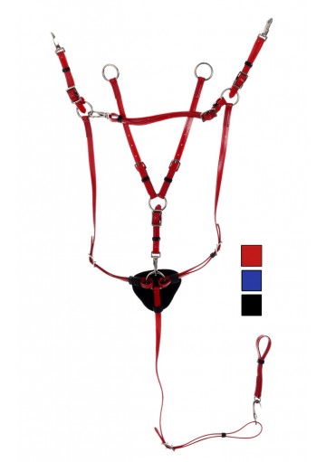 Pechopetral Daslo En Pvc