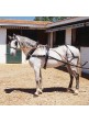 Enganche Con Colleron Para Un Caballo Hebillaje Inox
